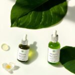 Découvrez les Bienfaits de la Centella Asiatica Huile Essentielle pour votre Peau et Votre Bien-être